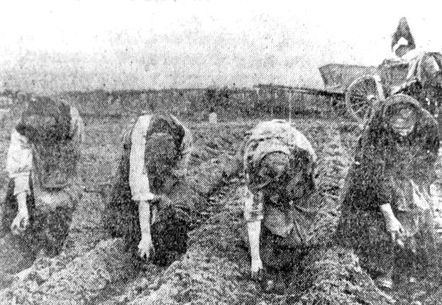 Photo Con 0506 Img_0613